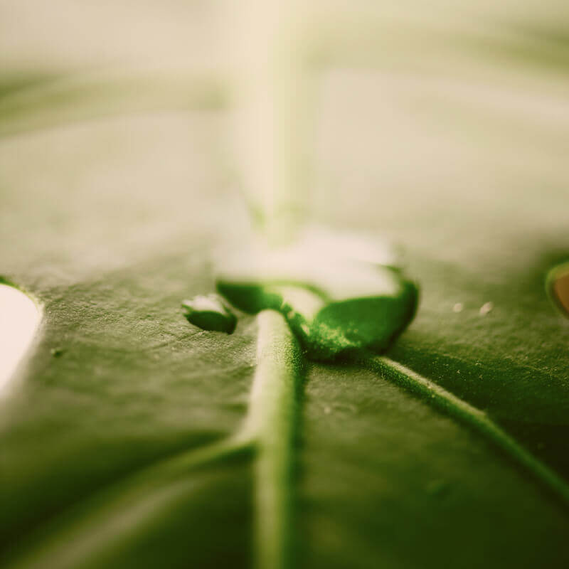 energy investment impacts